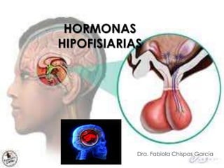 HORMONAS 
HIPOFISIARIAS 
Dra. Fabiola Chispas García 
 