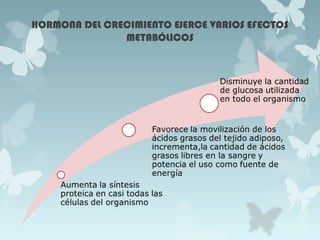 HORMONA DEL CRECIMIENTO EJERCE VARIOS EFECTOS
METABÓLICOS
 