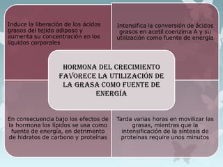 Hormonas hipofisiarias y su control por el hipotalamo