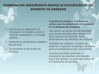 HORMONA DEL CRECIMIENTO REDUCE LA UTILIZACIÓN DE LOS
HIDRATOS DE CARBONO
1. Disminuye la captación de
glucosa en los tejidos como el
músculo esquelético y el tejido
adiposo
2. Aumenta la producción hepática
de glucosa
3. Incremente la secreción de
insulina
Necesidad de insulina y de hidratos de
carbono para la estimulación del crecimiento
por la hormona del crecimiento
•No ejerce su acción en los animales
que carece de páncreas, tampoco lo
hace cuando se eliminan de la
alimentación los hidratos de carbono
•Hidratos de carbono, insulina se
destinan a aportar la energía necesaria
para el metabolismo del crecimiento
•Insulina también potencia el
transporte de algunos aminoácidos
hacia las células, al igual que potencia
el transporte de glucosa
 