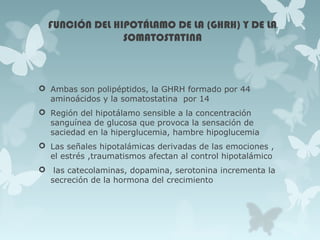 FUNCIÓN DEL HIPOTÁLAMO DE LA (GHRH) Y DE LA
SOMATOSTATINA
 Ambas son polipéptidos, la GHRH formado por 44
aminoácidos y la somatostatina por 14
 Región del hipotálamo sensible a la concentración
sanguínea de glucosa que provoca la sensación de
saciedad en la hiperglucemia, hambre hipoglucemia
 Las señales hipotalámicas derivadas de las emociones ,
el estrés ,traumatismos afectan al control hipotalámico
 las catecolaminas, dopamina, serotonina incrementa la
secreción de la hormona del crecimiento
 