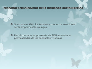 FUNCIONES FISIOLÓGICAS DE LA HORMONA ANTIDIURETICA
 Si no existe ADH, los túbulos y conductos colectores
serán impermeables al agua
 Por el contrario en presencia de ADH aumenta la
permeabilidad de los conductos y túbulos
 