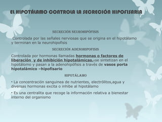 EL HIPOTÁLAMO CONTROLA LA SECRECIÓN HIPOFISARIA
SEcrEciÓn nEuroHiPÓFiSiS
Controlada por las señales nerviosas que se origina en el hipotálamo
y terminan en la neurohipofisis
SEcrEciÓn adEnoHiPoFiSiS
Controlada por hormonas llamadas hormonas o factores de
liberación y de inhibición hipotalámicas.-se sintetizan en el
hipotálomo y pasan a la adenohipófisis a través de vasos porta
hipotalámico –hipofisario
HiPotálamo
• La concentración sanguinea de nutrientes, electrólitos,agua y
diversas hormonas excita o inhibe al hipotálamo
• Es una centralita que recoge la información relativa a bienestar
interno del organismo
 