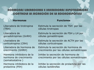 HORMONAS LIBERADORAS E INHIBIDORAS HIPOTALÁMICAS
CONTROLA LA SECRECIÓN DE LA ADONOHIPÓFISIS
Hormonas Funciones
Liberadora de tirotropina
(TRH)
Estimula la secreción de TSH por las
células tirotropas
Liberadora de
gonadotropinas (GnRH)
Estimula la secreción de FSH y LH por
células gonadótropas
Liberadora de
corticotropina (CRH)
Estimula la secreción de ACTH por las
células corticotropas
Liberadora de hormona de
crecimiento (GHRH)
Estimula la secreción de hormona de
crecimiento por las células somatótropas
Hormona inhibidora de la
hormona de crecimiento
(somatostatina )
Inhibe la secreción de hormona de
crecimiento por las células somatótropas
Hormona inhibidora de la
prolactina (PIH)
Inhibe la secreción de prolactina por las
células lactótrofas
 