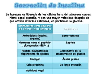 La hormona es liberada de las células beta del páncreas con un
ritmo basal pequeño, y con una mayor velocidad después de
que actúan diversos estímulos, en particular la glucosa.
Estimulantes como azucares
de diversos tipos (manosa) Inhibidores
Aminoácidos (leucina,
arginina)
Somatostatina
Hormonas como el peptido-
1 glucagonoide (GLP-1)
Leptina
Péptido insulinotropico
dependiente de glucosa
Incremento de la
concentración de glucosa
Glucagon Ácidos grasos
Colecistocinina De larga evolución
Actividad vagal
 