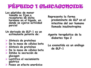 Los péptidos de menor
tamaño se fijan a
receptores de dicha
hormona en el hígado, en
donde se ejerce actividad
parcial
Un derivado de GLP-1 es un
estimulante potente de:
 Síntesis de proteínas
 De la masa de células beta
 Síntesis de proteínas
 De la masa de células beta
 Inhibe la secreción de
glucagon
 Lentifica el vaciamiento
gástrico
 Posee un efecto anoréxico
Representa la forma
predomínate de GLP en el
intestino del ser humano
llamada insulinotropina
Agente terapéutico de la
diabetes tipo 2
La exenatida es un análogo
de GLP-1
 