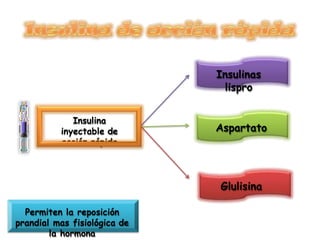 Insulina
inyectable de
acción rápida
Insulinas
lispro
Aspartato
Glulisina
Permiten la reposición
prandial mas fisiológica de
la hormona
 