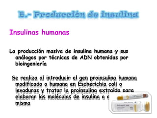 Insulinas humanas
La producción masiva de insulina humana y sus
análogos por técnicas de ADN obtenidas por
bioingeniería
Se realiza al introducir el gen proinsulina humana
modificado o humano en Escherichia coli o
levaduras y tratar la proinsulina extraída para
elaborar las moléculas de insulina o análogos de la
misma
 