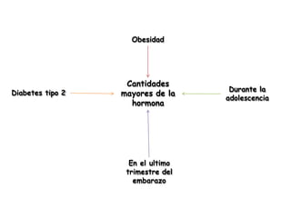 Cantidades
mayores de la
hormona
Obesidad
Durante la
adolescencia
En el ultimo
trimestre del
embarazo
Diabetes tipo 2
 