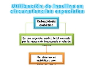 U t i l i z a c i ó n d e i n s u l i n a e n
c i r c u n s t a n c i a s e s p e c i a l e s
Cetoacidosis
diabética
Es una urgencia medica letal causada
por la reposición inadecuada o nula de
insulina
Se observa en
individuos con
diabetes tipo 1
 
