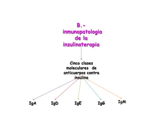 B.-
inmunopatologia
de la
insulinoterapia
Cinco clases
moleculares de
anticuerpos contra
insulina
IgA IgD IgE IgG IgM
 