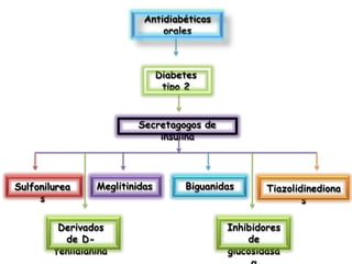 Antidiabéticos
orales
Diabetes
tipo 2
Secretagogos de
insulina
Sulfonilurea
s
Meglitinidas
Derivados
de D-
fenilalanina
Biguanidas Tiazolidinediona
s
Inhibidores
de
glucosidasa
 