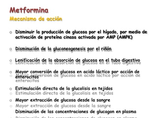 Metformina
Mecanismo de acción
o Disminuir la producción de glucosa por el hígado, por medio de
activación de proteína cinasa activada por AMP (AMPK)
o Disminución de la gluconeogenesis por el riñón
o Lenificación de la absorción de glucosa en el tubo digestivo
o Mayor conversión de glucosa en acido láctico por acción de
enterocitos
o Estimulación directa de la glucolisis en tejidos
o Mayor extracción de glucosa desde la sangre
Disminución de las concentraciones de glucagon en plasma
 