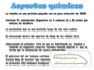 La insulina es una proteína pequeña con un peso molecular de 5808
Contiene 51 aminoácidos dispuestos en 2 cadenas (A y B) unidos por
enlaces de disulfuro
La proinsulina que es una proteína larga de una sola cadena
Es procesada dentro del aparato de Golgi de las células beta
Almacenada en gránulos, sitio en que es hidrolizada en insulina y
también un segmento conector residual llamado péptido C, que se
forma por la eliminación de cuatro aminoácidos
El páncreas del ser humano contiene
Incluso 8mg de insulina, que representa
en promedio 200 unidades biológicas
 