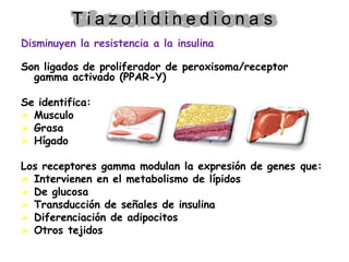 T i a z o l i d i n e d i o n a s
Disminuyen la resistencia a la insulina
Son ligados de proliferador de peroxisoma/receptor
gamma activado (PPAR-Y)
Se identifica:
 Musculo
 Grasa
 Hígado
Los receptores gamma modulan la expresión de genes que:
 Intervienen en el metabolismo de lípidos
 De glucosa
 Transducción de señales de insulina
 Diferenciación de adipocitos
 Otros tejidos
 
