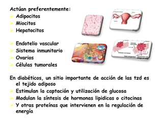 Actúan preferentemente:
 Adipocitos
 Miocitos
 Hepatocitos
 Endotelio vascular
 Sistema inmunitario
 Ovarios
 Células tumorales
En diabéticos, un sitio importante de acción de las tzd es
el tejido adiposo
 Estimulan la captación y utilización de glucosa
 Modulan la síntesis de hormonas lipidicas o citocinas
 Y otras proteínas que intervienen en la regulación de
energía
 
