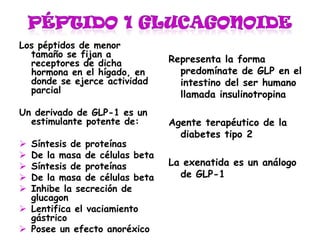 Los péptidos de menor
  tamaño se fijan a
  receptores de dicha          Representa la forma
  hormona en el hígado, en       predomínate de GLP en el
  donde se ejerce actividad      intestino del ser humano
  parcial                        llamada insulinotropina
Un derivado de GLP-1 es un
  estimulante potente de:      Agente terapéutico de la
                                 diabetes tipo 2
 Síntesis de proteínas
 De la masa de células beta
 Síntesis de proteínas        La exenatida es un análogo
 De la masa de células beta     de GLP-1
 Inhibe la secreción de
  glucagon
 Lentifica el vaciamiento
  gástrico
 Posee un efecto anoréxico
 