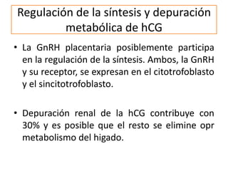 Regulación de la síntesis y depuración
metabólica de hCG
• La GnRH placentaria posiblemente participa
en la regulación de la síntesis. Ambos, la GnRH
y su receptor, se expresan en el citotrofoblasto
y el sincitotrofoblasto.
• Depuración renal de la hCG contribuye con
30% y es posible que el resto se elimine opr
metabolismo del higado.
 