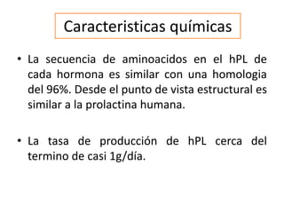Caracteristicas químicas
• La secuencia de aminoacidos en el hPL de
cada hormona es similar con una homologia
del 96%. Desde el punto de vista estructural es
similar a la prolactina humana.
• La tasa de producción de hPL cerca del
termino de casi 1g/día.
 