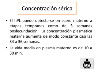 Concentración sérica
• El hPL puede detectarse en suero materno a
etapas tempranas como de 3 semanas
posfecundacion. La concentración plasmática
materna aumenta de modo constante casi las
34 a 36 semanas.
• La vida media en plasma materno es de 10 a
30 min.
 