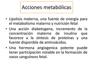 Acciones metabólicas
• Lipolisis materna, una fuente de energía para
el metabolismo materno y nutrición fetal
• Una acción diabetogena, incremento de la
concentración materna de insulina que
favorece a la síntesis de proteínas y una
fuente disponible de aminoácidos.
• Una hormona angiogenica potente puede
tener participación notable en la formación de
vasos sanguíneos fetal.
 