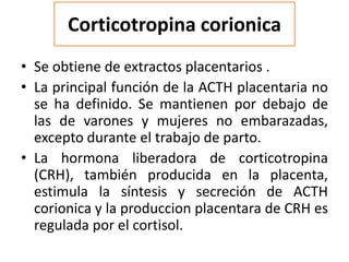 Corticotropina corionica
• Se obtiene de extractos placentarios .
• La principal función de la ACTH placentaria no
se ha definido. Se mantienen por debajo de
las de varones y mujeres no embarazadas,
excepto durante el trabajo de parto.
• La hormona liberadora de corticotropina
(CRH), también producida en la placenta,
estimula la síntesis y secreción de ACTH
corionica y la produccion placentara de CRH es
regulada por el cortisol.
 