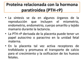 Proteína relacionada con la hormona
paratiroidea (PTH-rP)
• La síntesis se da en algunos órganos de la
reproducción que incluyen el miometrio,
endometrio, endometrio, cuerpo amarillo y tejido
mamario durante la lactancia.
• La PTH-rP derivada de la placenta puede tener un
papel autocrino o paracrino en la unidad fetal
materna.
• En la placenta tal vez activa receptores de
trofoblasto y promueva el transporte de calcio
para el crecimiento y la osificacion de los huesos
fetales.
 