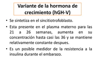Variante de la hormona de
crecimiento (hGH-V)
• Se sintetiza en el sincitiotrofoblasto.
• Esta presente en el plasma materno para las
21 a 26 semanas, aumenta en su
concentración hasta casi las 36 y se mantiene
relativamente constante despues.
• Es un posible medidor de la resistencia a la
insulina durante el embarazo.
 