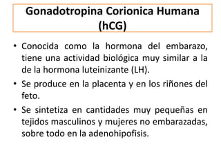 Gonadotropina Corionica Humana
(hCG)
• Conocida como la hormona del embarazo,
tiene una actividad biológica muy similar a la
de la hormona luteinizante (LH).
• Se produce en la placenta y en los riñones del
feto.
• Se sintetiza en cantidades muy pequeñas en
tejidos masculinos y mujeres no embarazadas,
sobre todo en la adenohipofisis.
 