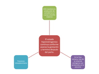 El estado
hiperestrogenico
continua conforme
avanza la gestación
y termina después
del parto.
hCG mantiene la
producción de
estradiol en el
cuerpo amarillo
materno
En la 7ma
semana, mas de
la mitad de
estrógenos son
producidos en la
placenta
Transicion
luteoplacentaria
 