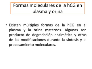 Formas moleculares de la hCG en
plasma y orina
• Existen múltiples formas de la hCG en el
plasma y la orina maternos. Algunas son
producto de degradación enzimática y otras
de las modificaciones durante la síntesis y el
procesamiento moleculares.
 