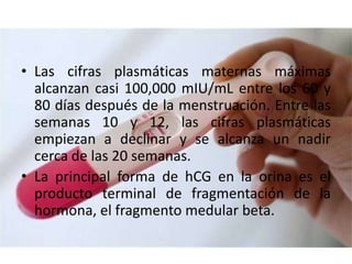 • Las cifras plasmáticas maternas máximas
alcanzan casi 100,000 mIU/mL entre los 60 y
80 días después de la menstruación. Entre las
semanas 10 y 12, las cifras plasmáticas
empiezan a declinar y se alcanza un nadir
cerca de las 20 semanas.
• La principal forma de hCG en la orina es el
producto terminal de fragmentación de la
hormona, el fragmento medular beta.
 