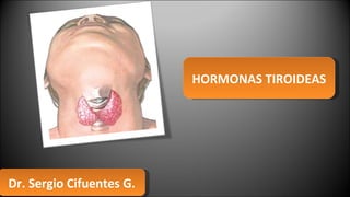 HORMONAS TIROIDEAS Dr. Sergio Cifuentes G. 