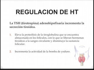 REGULACION DE HT
La TSH (tirotropina) adenohipofisaria incrementa la
secreción tiroidea.
1. Eleva la proteólisis de la tiroglobulina que se encuentra
almacenada en los folículos, con lo que se liberan hormonas
tiroideas a la sangre circulante y disminuye la sustancia
folicular.
2. Incrementa la actividad de la bomba de yoduro.
 