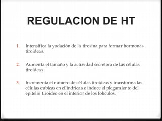 REGULACION DE HT
1. Intensifica la yodación de la tirosina para formar hormonas
tiroideas.
2. Aumenta el tamaño y la actividad secretora de las células
tiroideas.
3. Incrementa el numero de células tiroideas y transforma las
células cubicas en cilíndricas e induce el plegamiento del
epitelio tiroideo en el interior de los folículos.
 