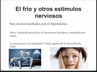 El frio y otros estímulos
nerviosos
Son efectos mediados por el hipotálamo.
Frio= Aumenta secreción de hormonas tiroideas y metabolismo
basal.
La excitación y la ansiedad= Caída aguda de la secreción de
TSH.
 