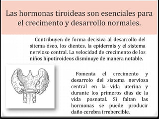 Las hormonas tiroideas son esenciales para
el crecimento y desarrollo normales.
Contribuyen de forma decisiva al desarrollo del
sitema óseo, los dientes, la epidermis y el sistema
nervioso central. La velocidad de crecimento de los
niños hipotiroideos disminuye de manera notable.
Fomenta el crecimento y
desarrolo del sistema nerviosa
central en la vida uterina y
durante los primeros días de la
vida posnatal. Si faltan las
hormonas se puede producir
daño cerebra irrebercible.
 