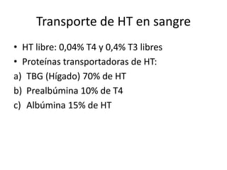 Transporte de HT en sangre
• HT libre: 0,04% T4 y 0,4% T3 libres
• Proteínas transportadoras de HT:
a) TBG (Hígado) 70% de HT
b) Prealbúmina 10% de T4
c) Albúmina 15% de HT
 