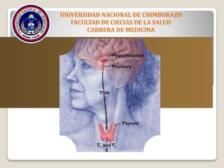 UNIVERSIDAD NACIONAL DE CHIMBORAZO
FACULTAD DE CIECIAS DE LA SALUD
CARRERA DE MEDICINA
 