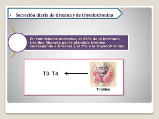 En condiciones normales, el 93% de la hormona
tiroidea liberada por la glándula tiroides
corresponde a tiroxina y el 7% a la triyodotironina.
• Secreción diaria de tiroxina y de triyodotironina
 