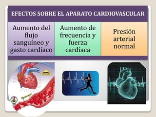 EFECTOS SOBRE EL APARATO CARDIOVASCULAR
Aumento del
flujo
sanguíneo y
gasto cardíaco
Aumento de
frecuencia y
fuerza
cardíaca
Presión
arterial
normal
 