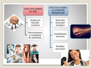 EFECTOS SOBRE
EL SNC
Acelera la
función
cerebral
Nerviosismos
y complejos
de ansiedad..
EFECTOS SOBRE
LA FUNCÓN
MUSCULAR
Reacción
muscular
enérgica
Catabolismo
excesivo
Temblor
muscular
 