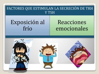 FACTORES QUE ESTIMULAN LA SECRECIÓN DE TRH
Y TSH
Exposición al
frío
Reacciones
emocionales
 