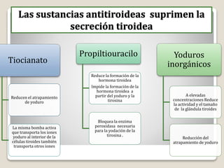 Las sustancias antitiroideas suprimen la
secreción tiroidea
Tiocianato
Reducen el atrapamiento
de yoduro
La misma bomba activa
que transporta los iones
yoduro al interior de la
células tiroides también
transporta otros iones
Propiltiouracilo
Reduce la formación de la
hormona tiroidea
Impide la formación de la
hormona tiroidea a
partir del yoduro y la
tirosina
Bloquea la enzima
peroxidasa necesaria
para la yodación de la
tirosina .
Yoduros
inorgánicos
A elevadas
concentraciones Reduce
la actividad y el tamaño
de la glándula tiroides
Reducción del
atrapamiento de yoduro
 