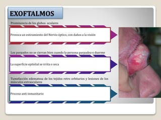 EXOFTALMOS
Prominencia de los globos oculares
Provoca un estiramiento del Nervio óptico, con daños a la visión
Los parpados no se cierran bien cuando la persona parpadea o duerme
La superficie epitelial se irrita o seca
Tumefacción edematosa de los tejidos retro orbitarios y lesiones de los
músculos extraoculares
Proceso anti inmunitario
 