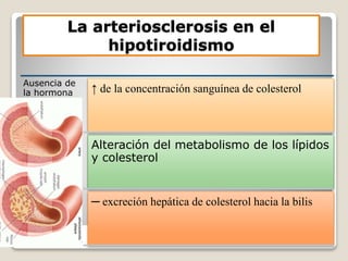 La arteriosclerosis en el
hipotiroidismo
Ausencia de
la hormona
tiroidea
↑ de la concentración sanguínea de colesterol
Alteración del metabolismo de los lípidos
y colesterol
─ excreción hepática de colesterol hacia la bilis
 