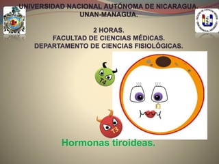 Hormonas tiroideas.
 