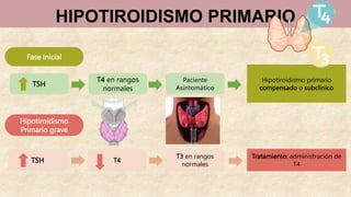 HIPOTIROIDISMO PRIMARIO
TSH
T4 en rangos
normales
Paciente
Asintomático
Hipotiroidismo primario
compensado o subclínico
TSH T4
T3 en rangos
normales
Tratamiento: administración de
T4
Fase Inicial
Hipotiroidismo
Primario grave
 