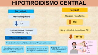 HIPOTIROIDISMO CENTRAL
Secundario
Terciario
Alteración Hipofisaria
TSH
La tiroides produce cantidades
insuficientes de T3 y T4
Alteración Hipotalámica
TRH
No se estimula la liberación de TSH
T4 y T3
Prueba de estimulación de TSH tras administrar TRH por vía intravenosa
Diferencia Bioquímica
Normal: pasados los primeros
30 min, la TSH se eleva entre 5
y30 mUI/L.
Secundario: la elevación de TSH
en sangre no supera las 5 mUI/L
Terciario: TSH aumenta,
aunque de forma más
tardía
 