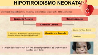 HIPOTIROIDISMO NEONATAL
Enfermedad congénita con una prevalencia aproximada de un caso cada 3.500 nacimientos
Disgenesia Tiroidea Dishormogénesis
Alteración Central
La deficiencia de hormonas tiroideas en los 2
primeros años de vida produce cretinismo
Alteración en el Desarrollo
Sistema Nervioso Central
Esquelético
Se miden los niveles de TSH o T4 total en la sangre obtenida del talón del recién
nacido a los 2 -8 días
 